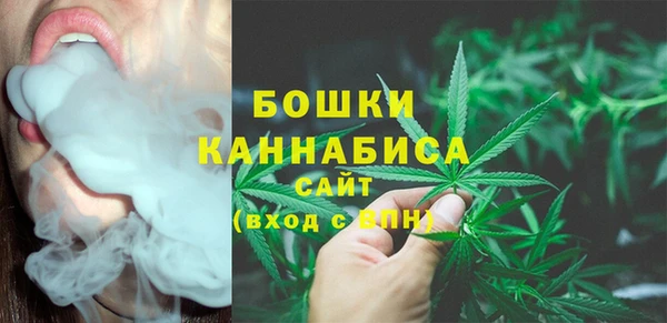 прущий лед Богородицк